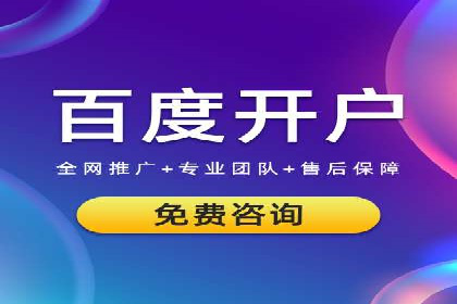谷歌SEM与移动端优化：某APP的推广策略及效果